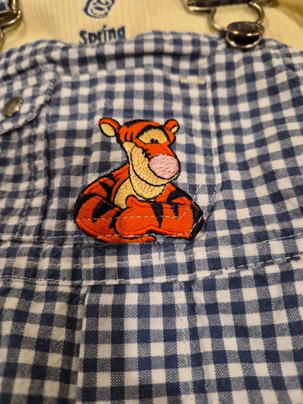 Vintage Disney Pooh 100 Acre Collection Baby Boy Shortalls & Bodysuit Set